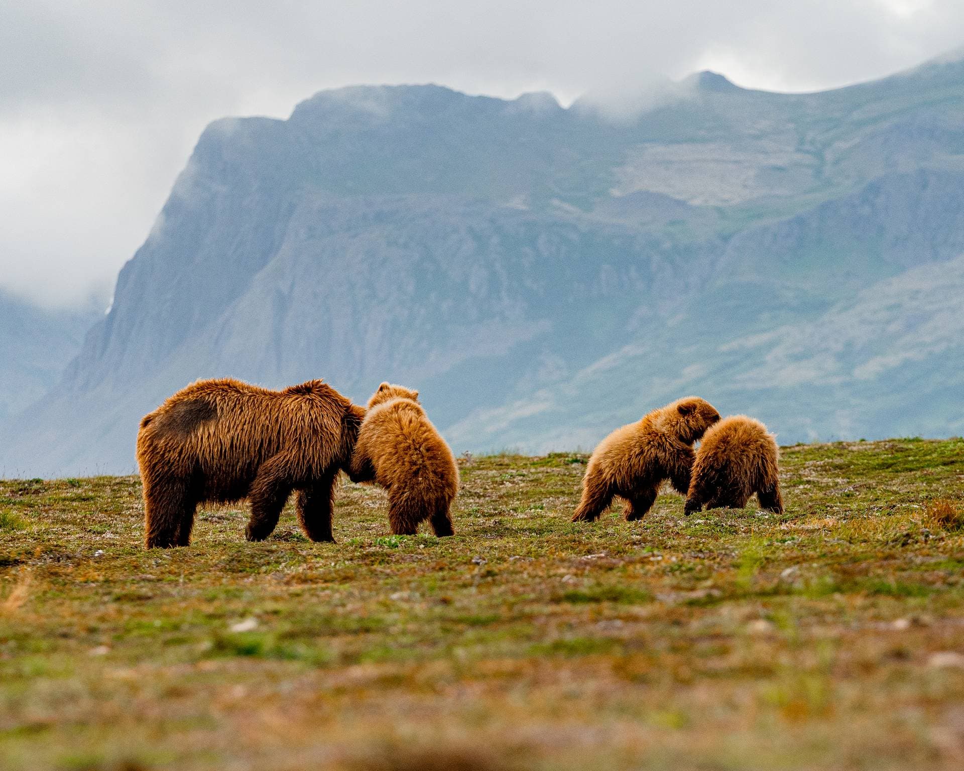 Alaska Rainbow Lodge 14
