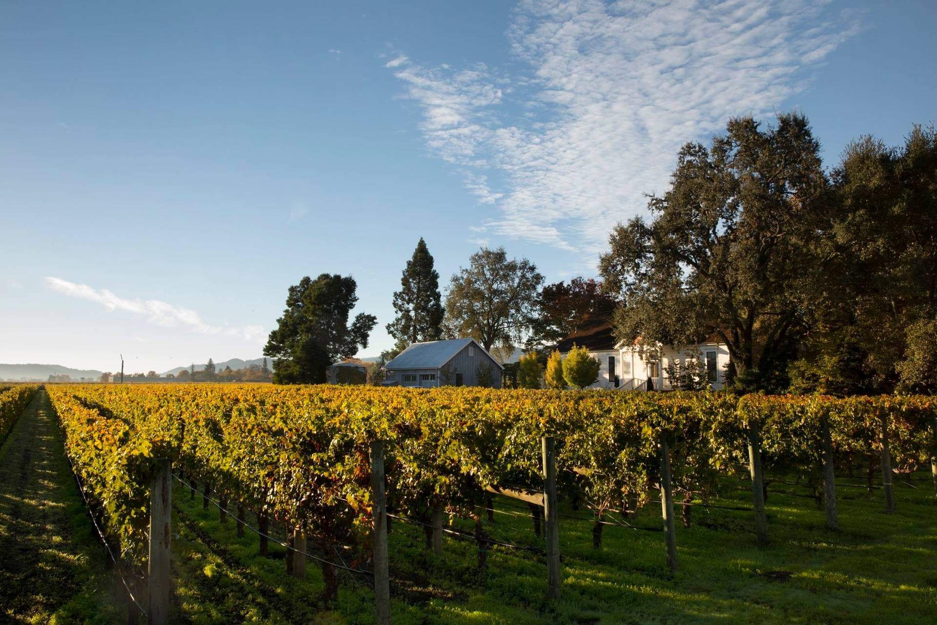 Rancho Caymus Inn 10