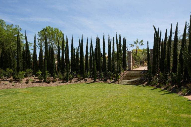 Domaine du Mas de Pierre 11