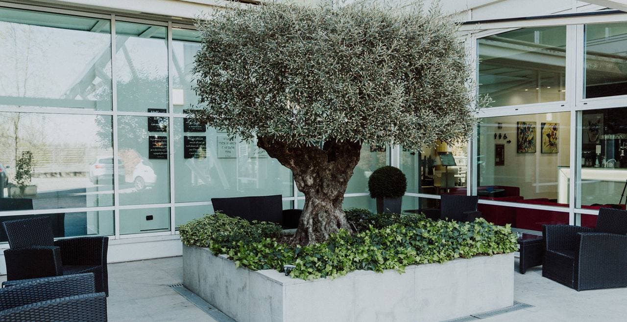 Hotel Carpi 2