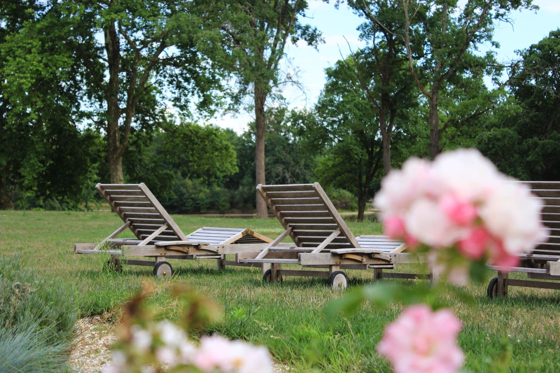 Le Domaine du Grand Nouer 21