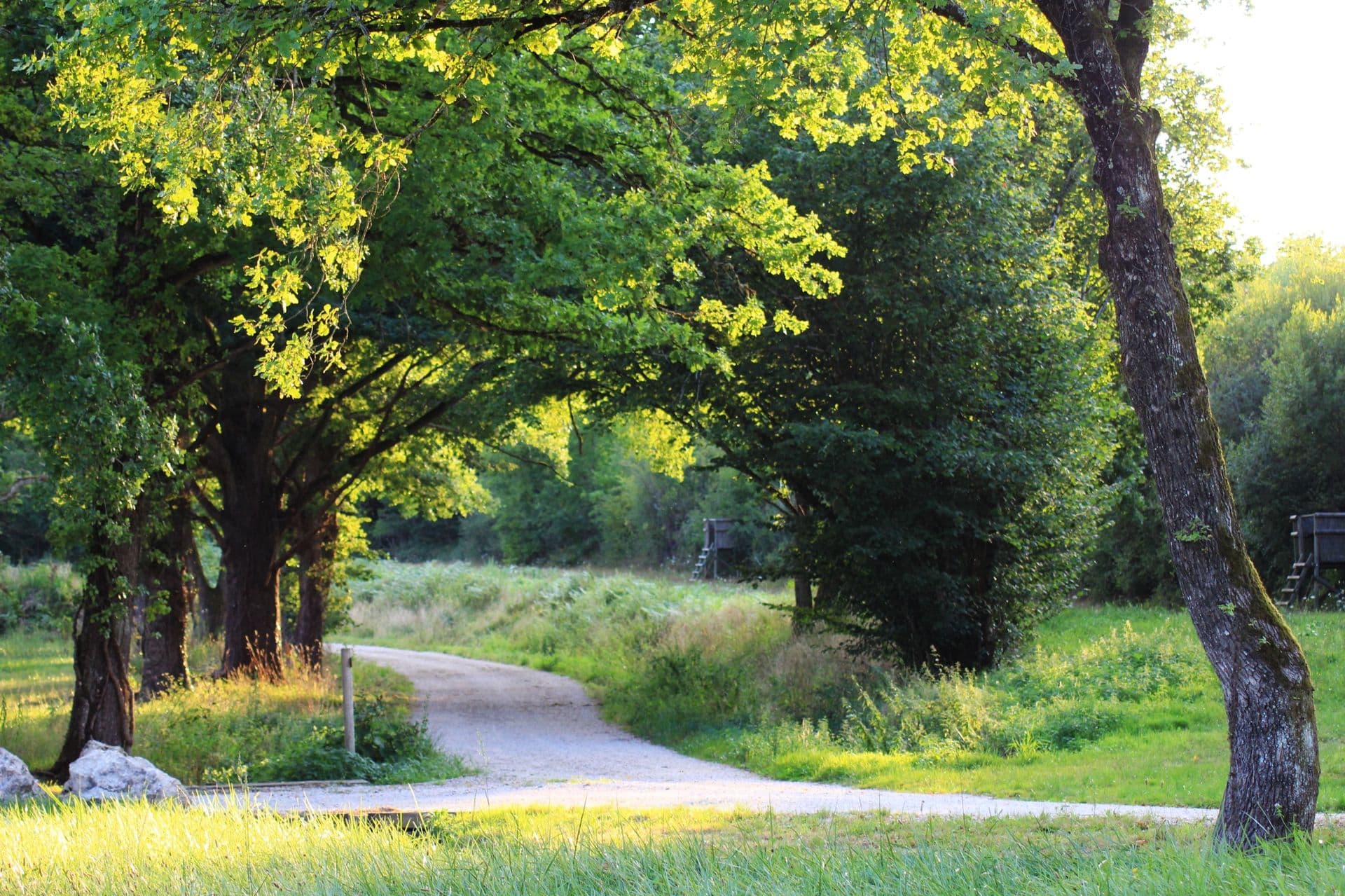 Le Domaine du Grand Nouer 25