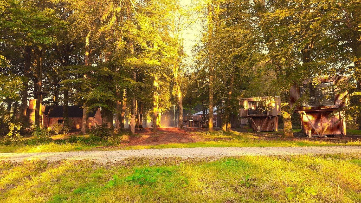 Étape en Forêt 9