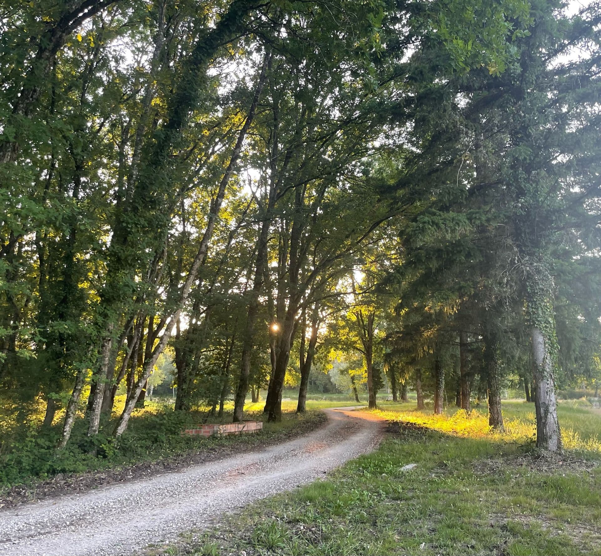 Le Domaine du Grand Nouer 40