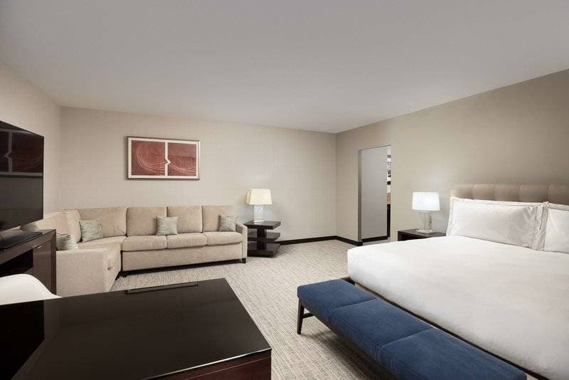 Hilton Americas Houston 22