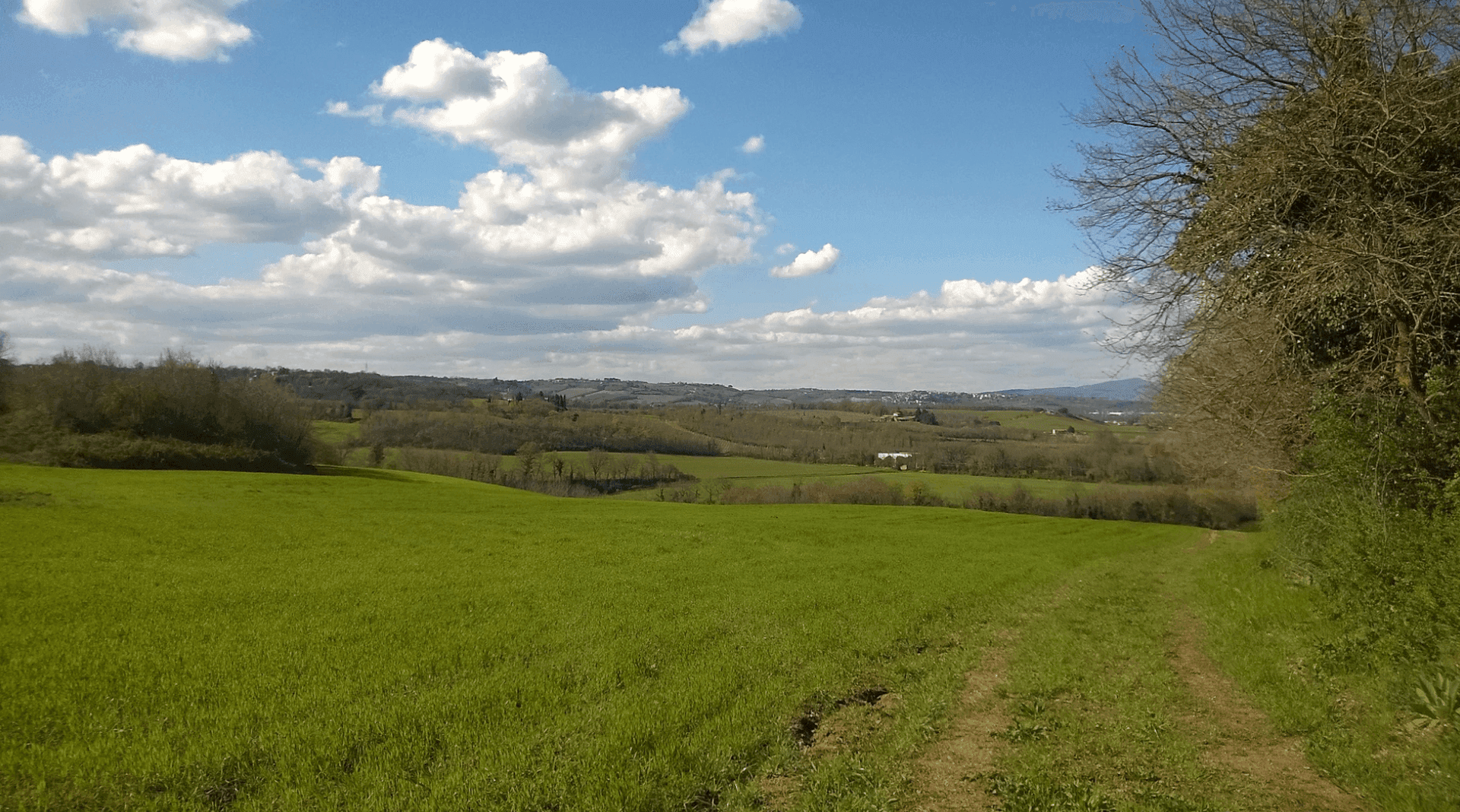 Agriturismo Torre Venturini 6