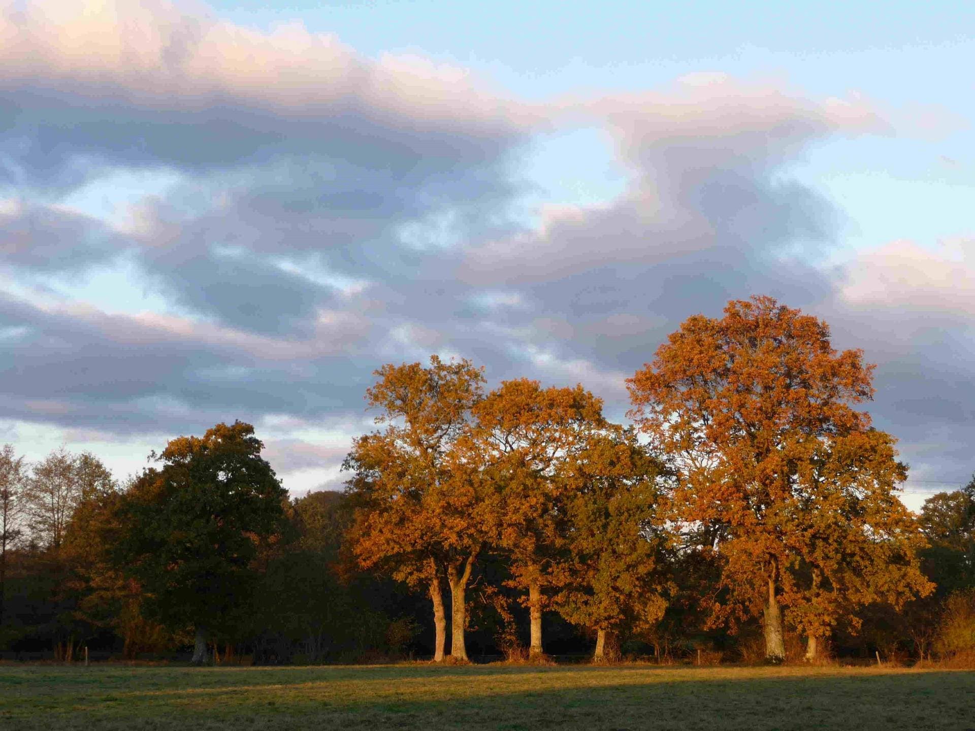 Le Domaine de la Boderie 34