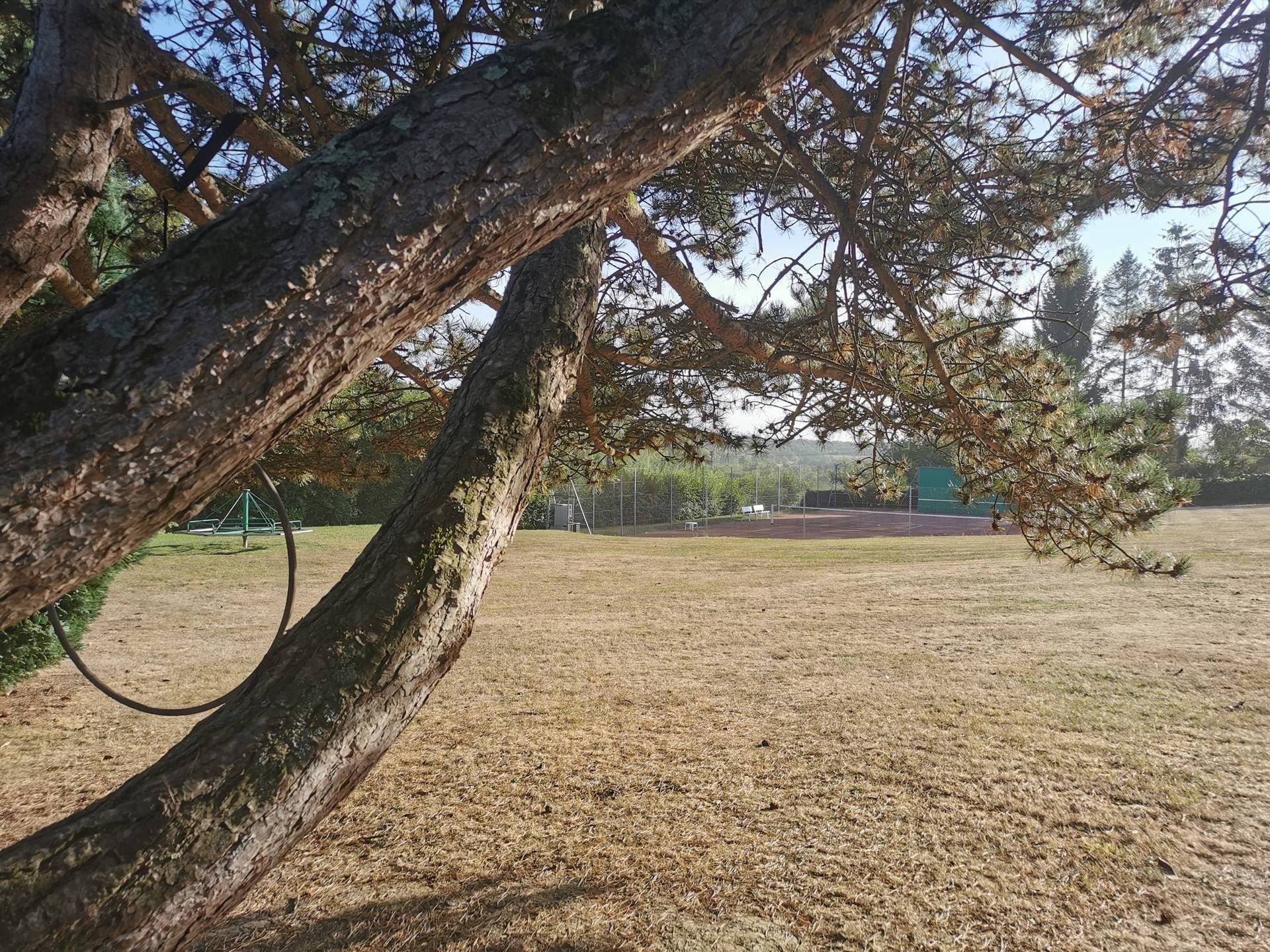 Le Domaine aux Lions 27