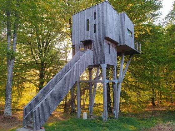 Étape en Forêt 12