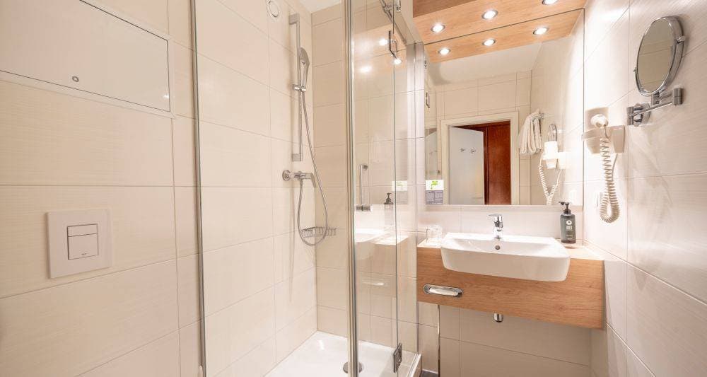 PLAZA INN Goslar 24