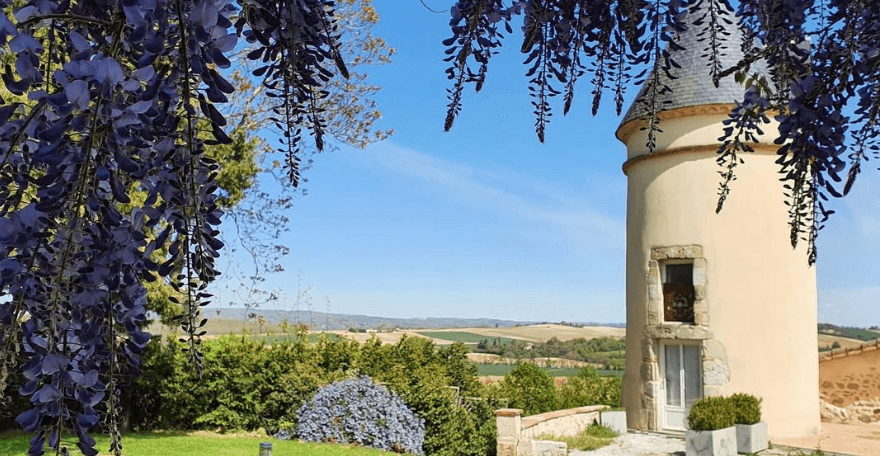 Le Domaine d'en Naudet 17
