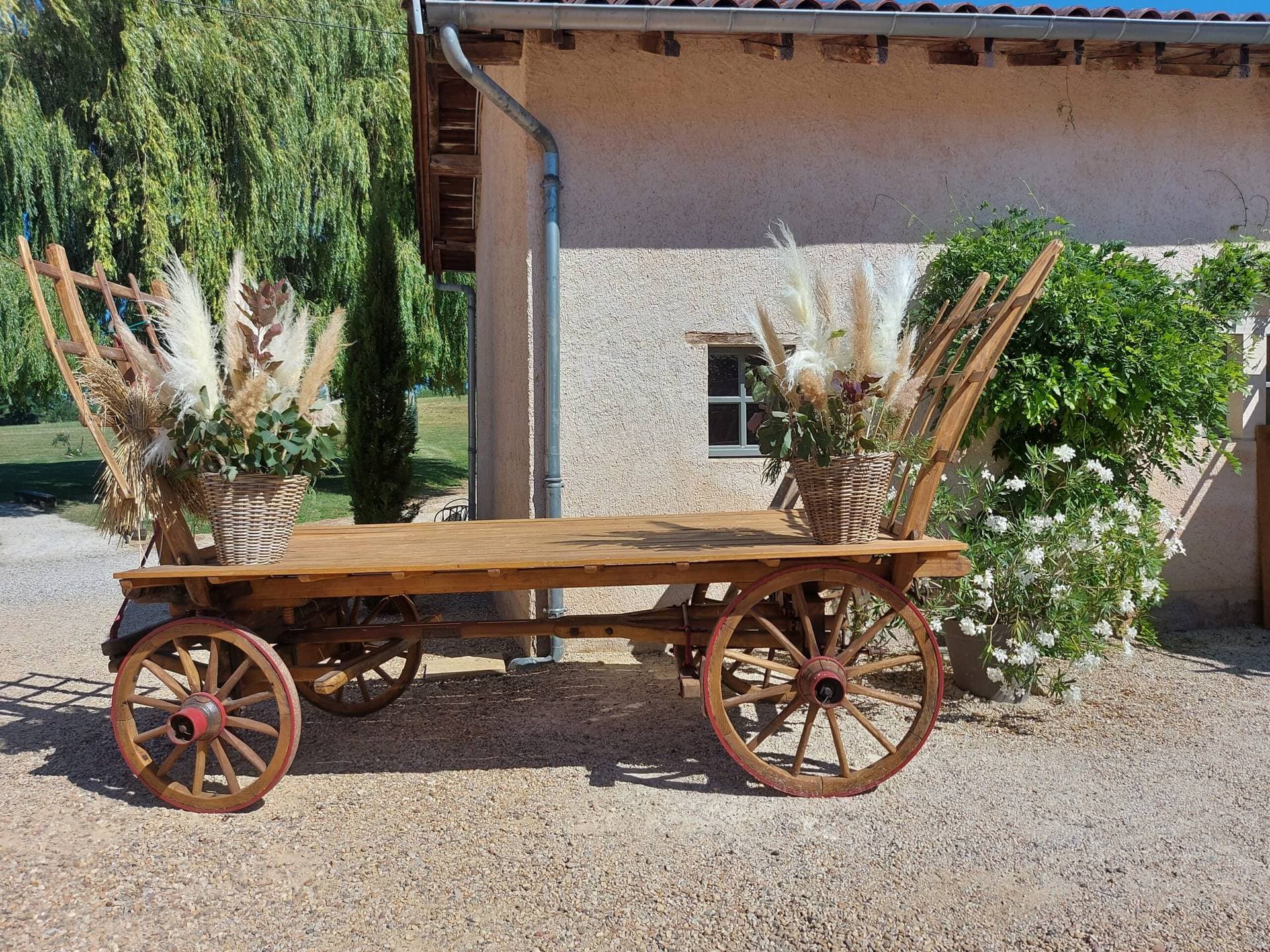 Le Domaine d'Amareins  7