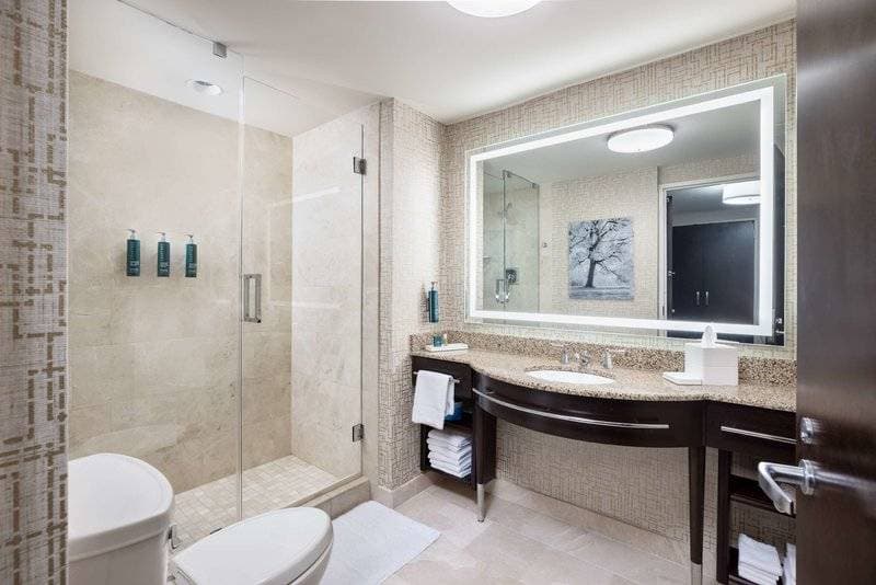 Hilton Americas Houston 25