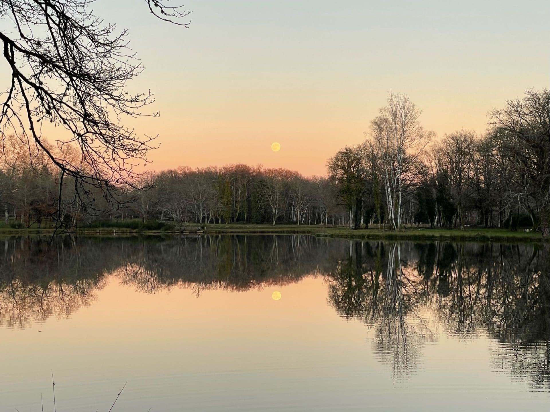 Le Domaine du Grand Nouer 28