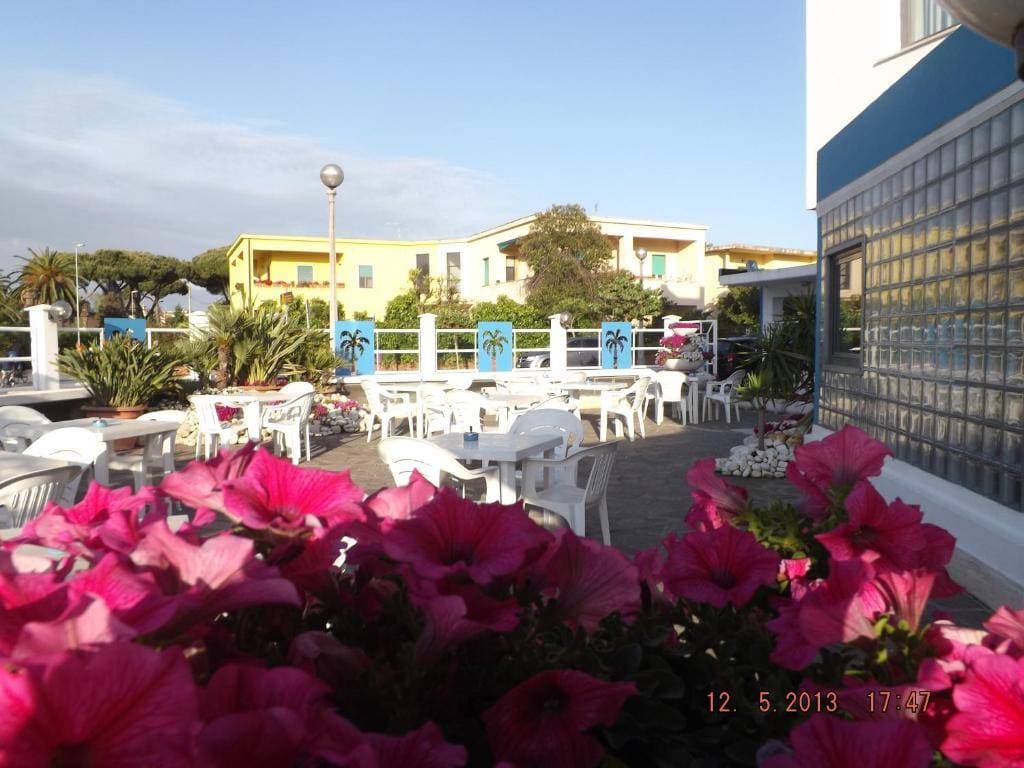 Le Palme Sabaudia 5