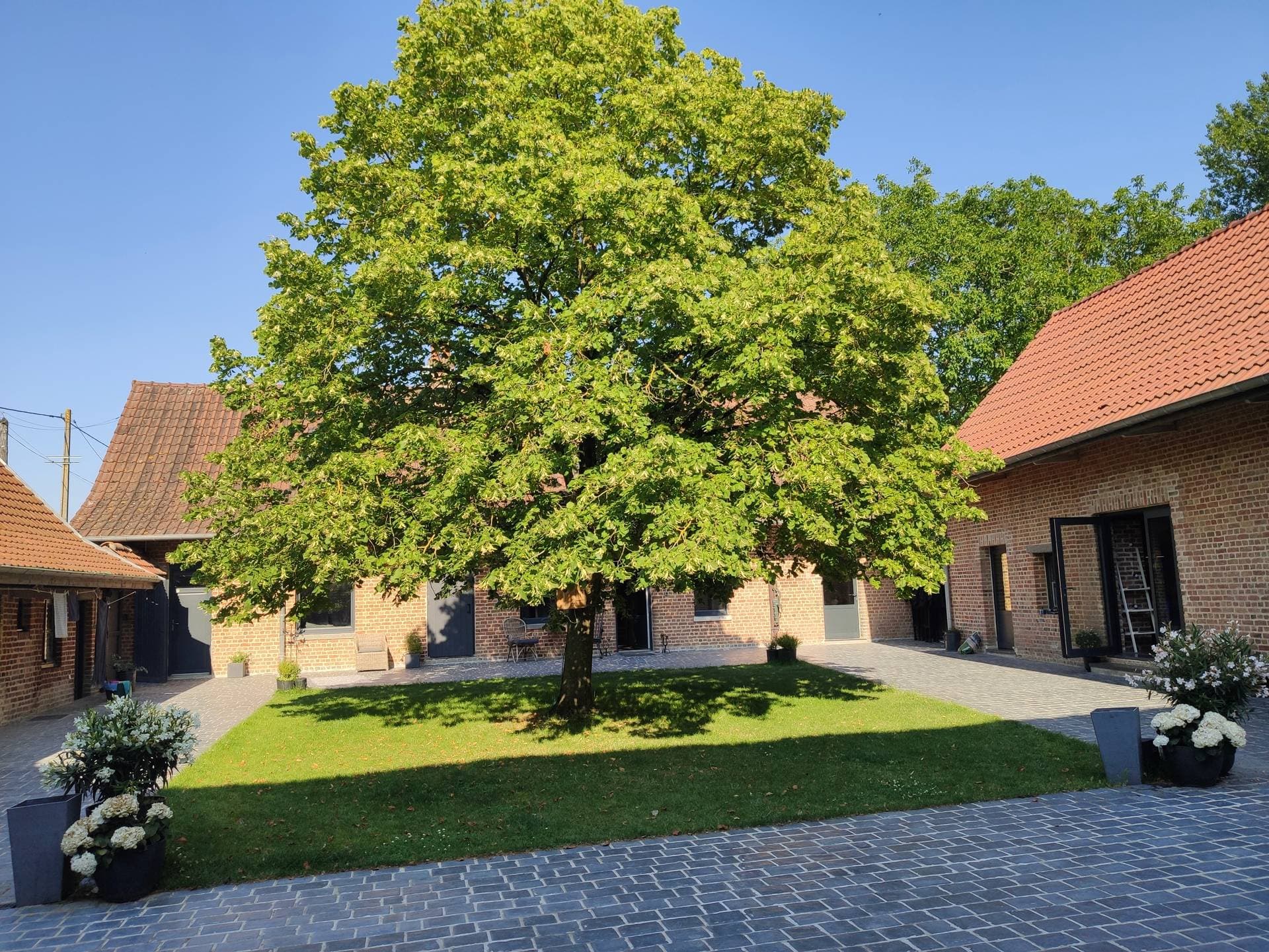 La cour