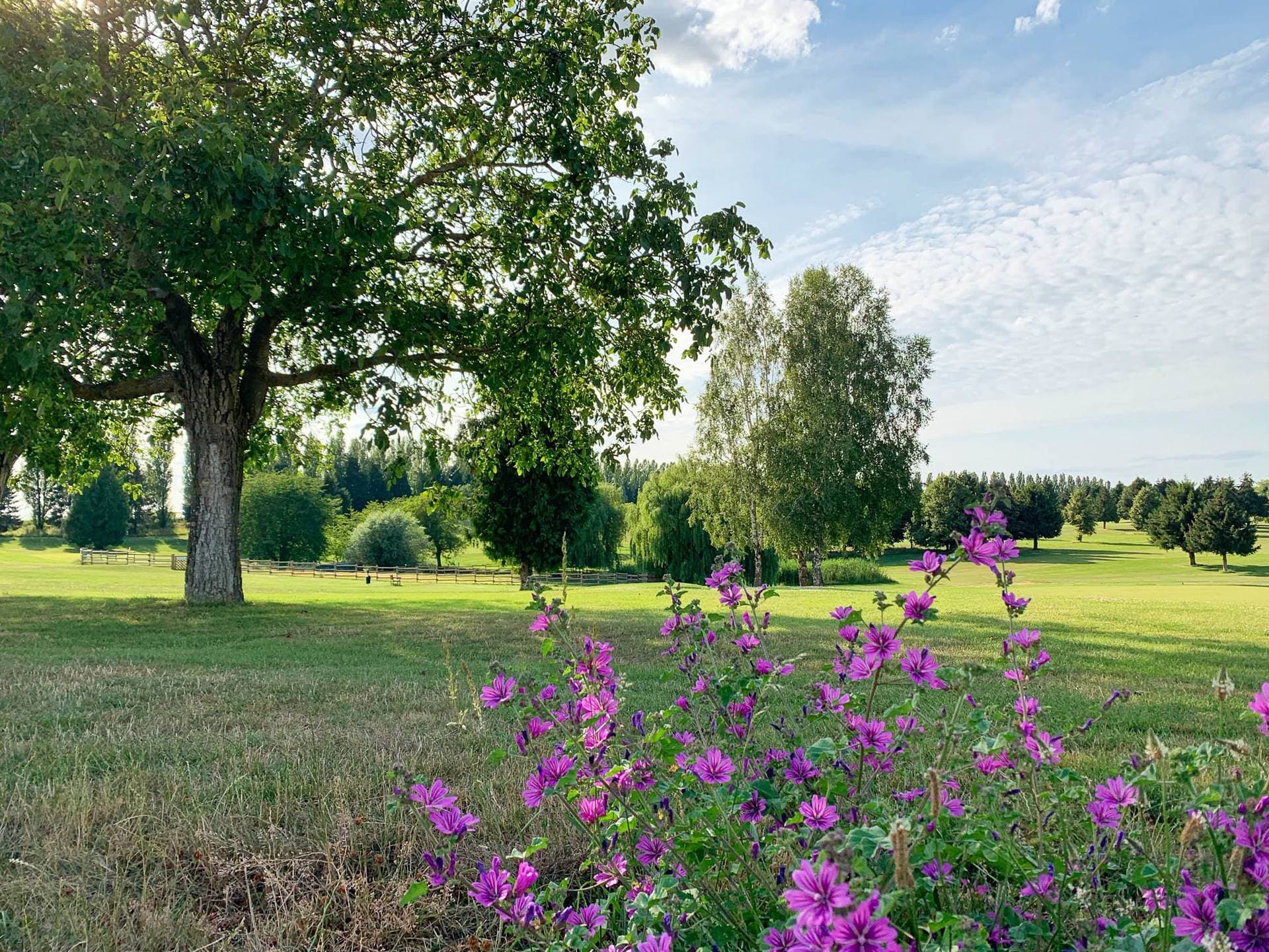 Le Domaine de Crécy 6