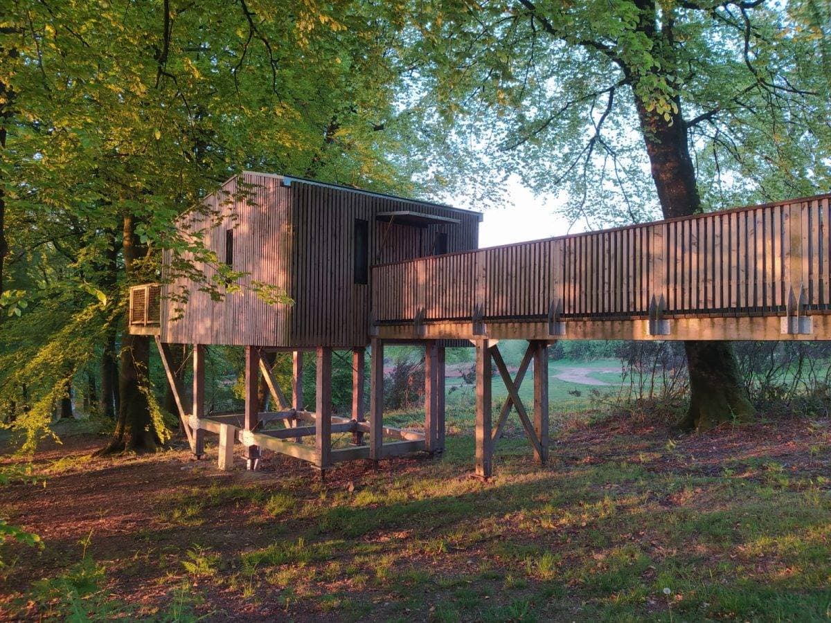 Étape en Forêt 7