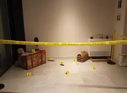 Murder Party