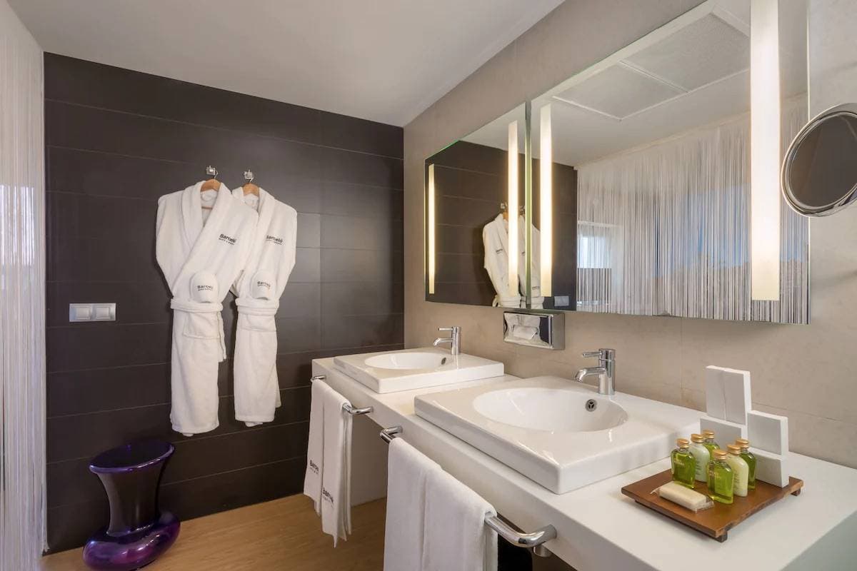 Barcelo Malaga 36