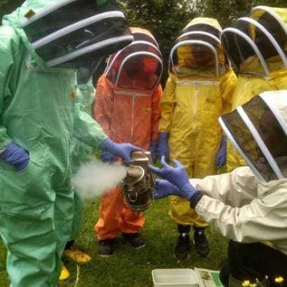 The Hive 4