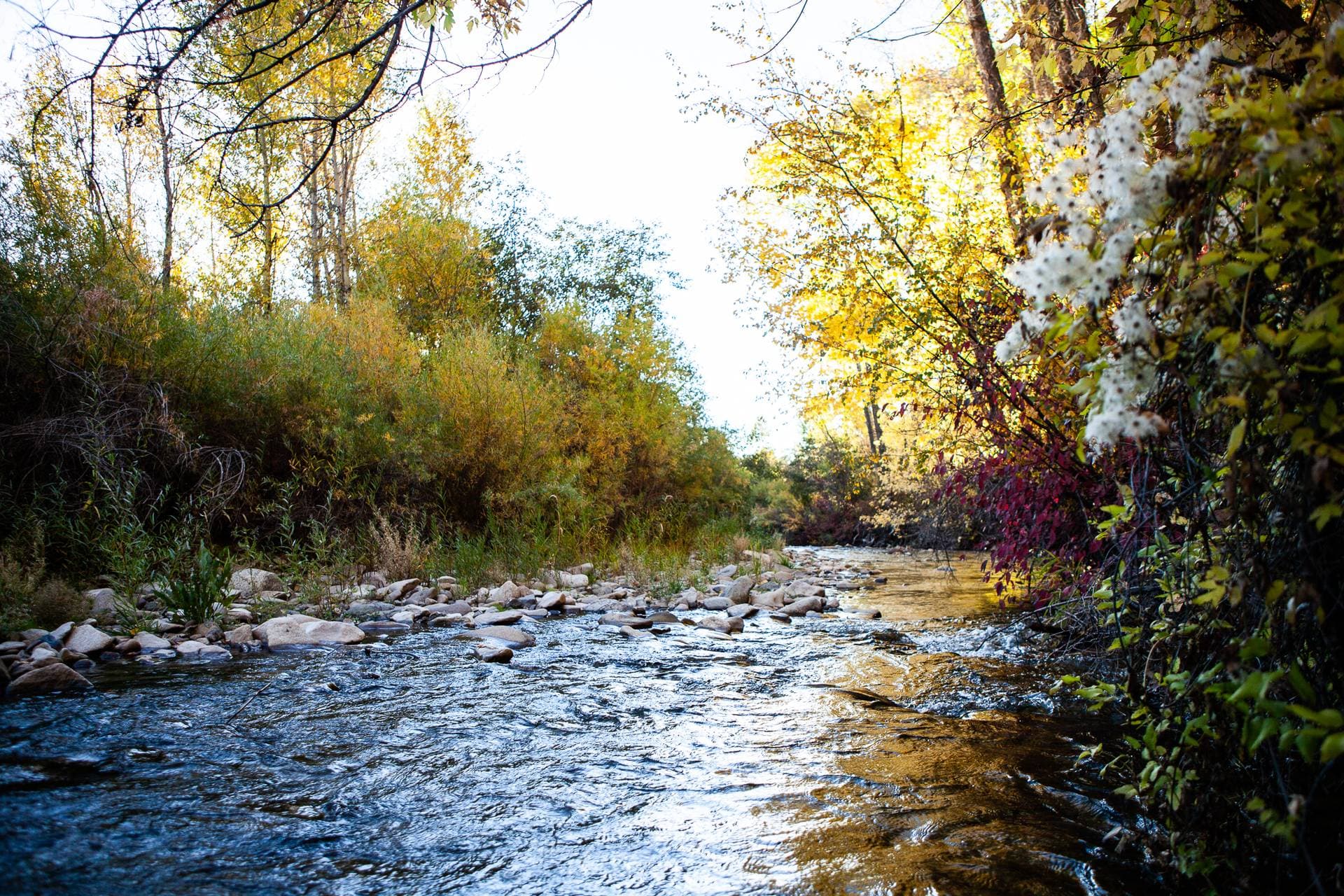Smith Fork Ranch 11