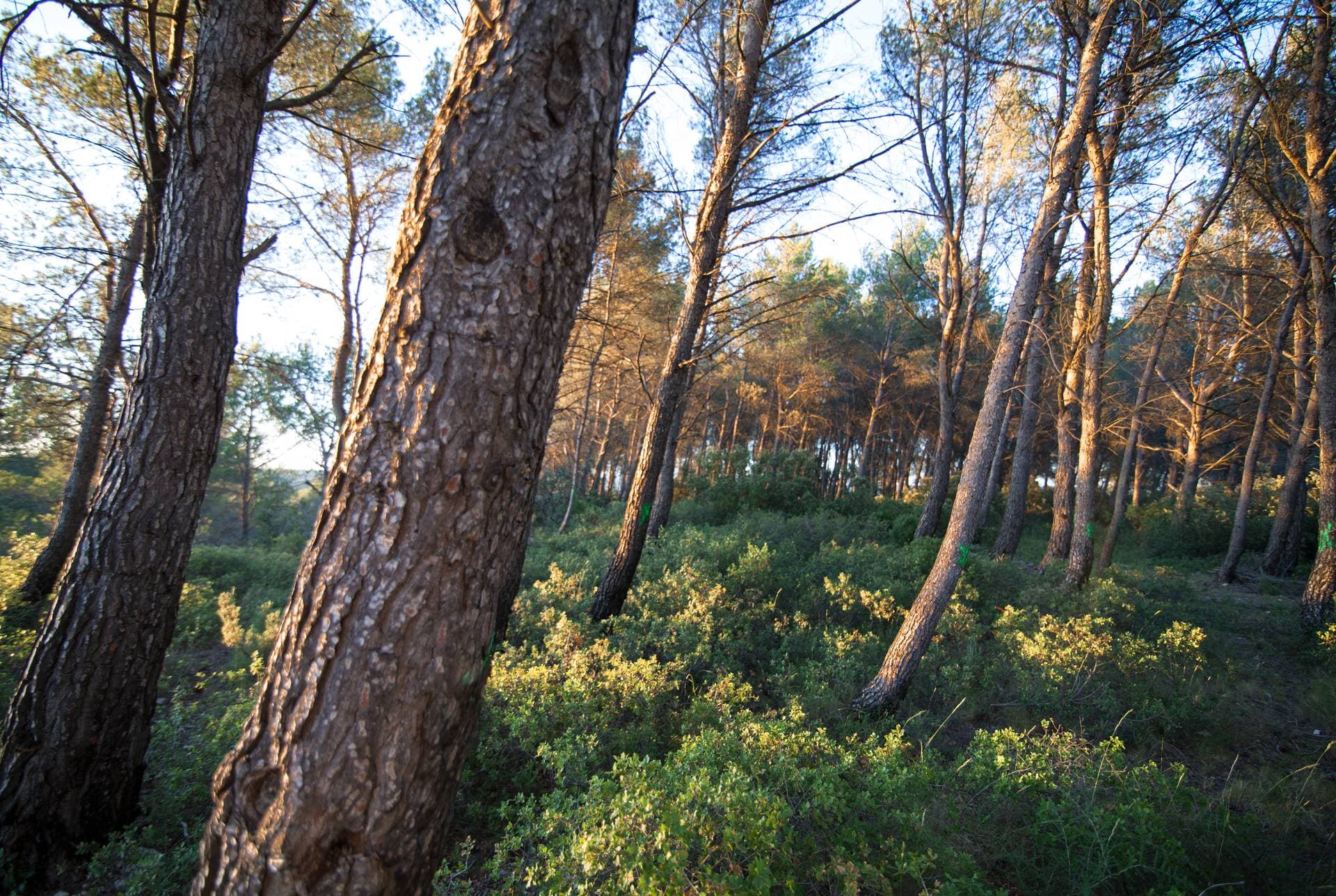 thecamp Hôtel & Lodges - Aix-en-Provence 20