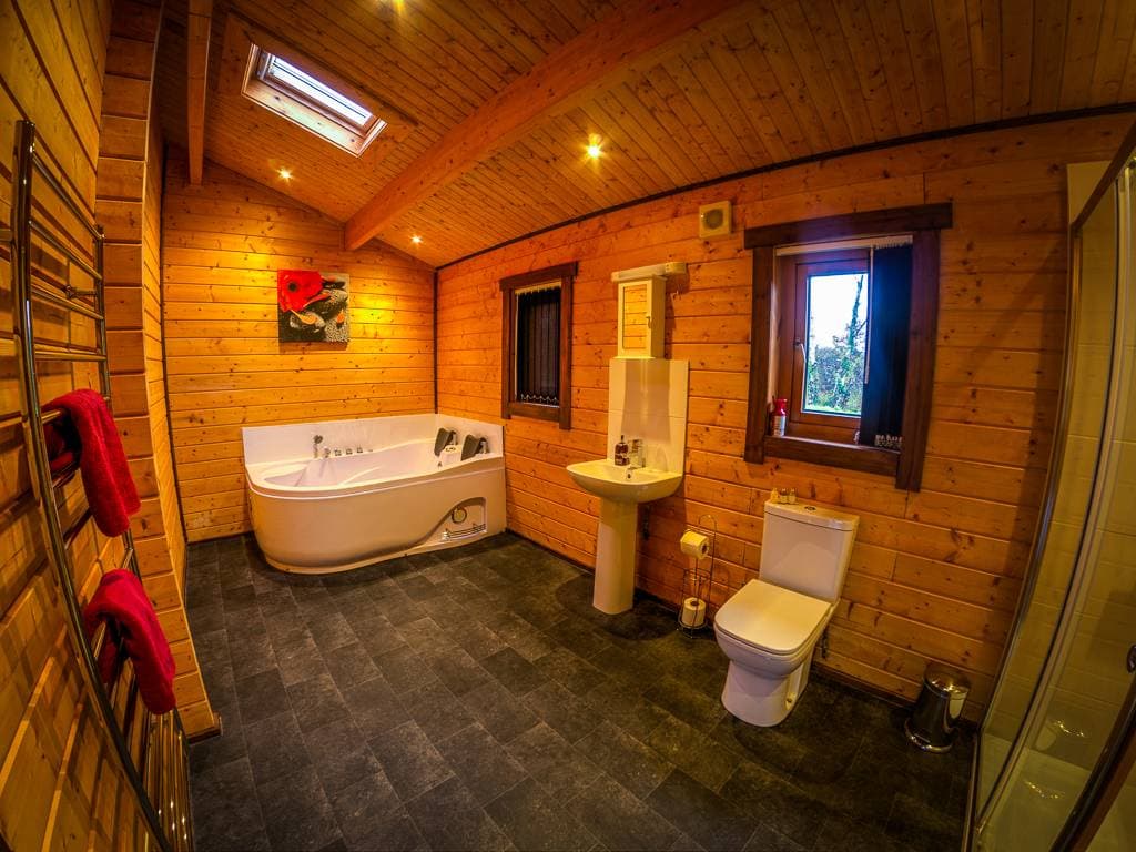 New Forest Lodges 35