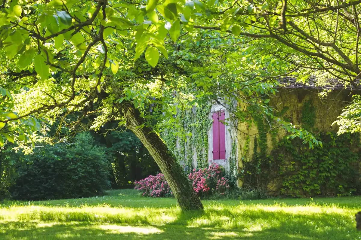 Le Manoir de Thiot 13
