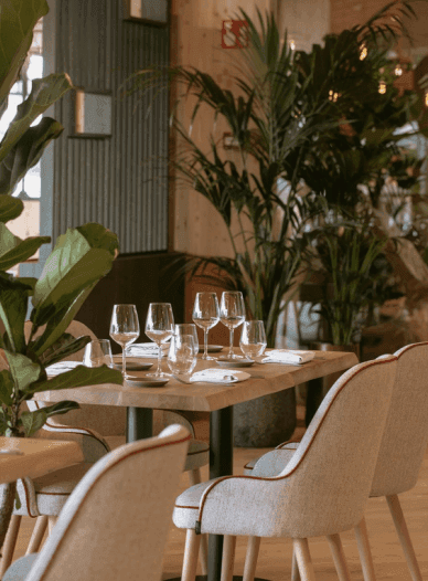 Your Nature - Eco Resort Belgique 14