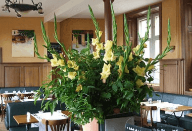 Hotel Brasserie Au Violon 7