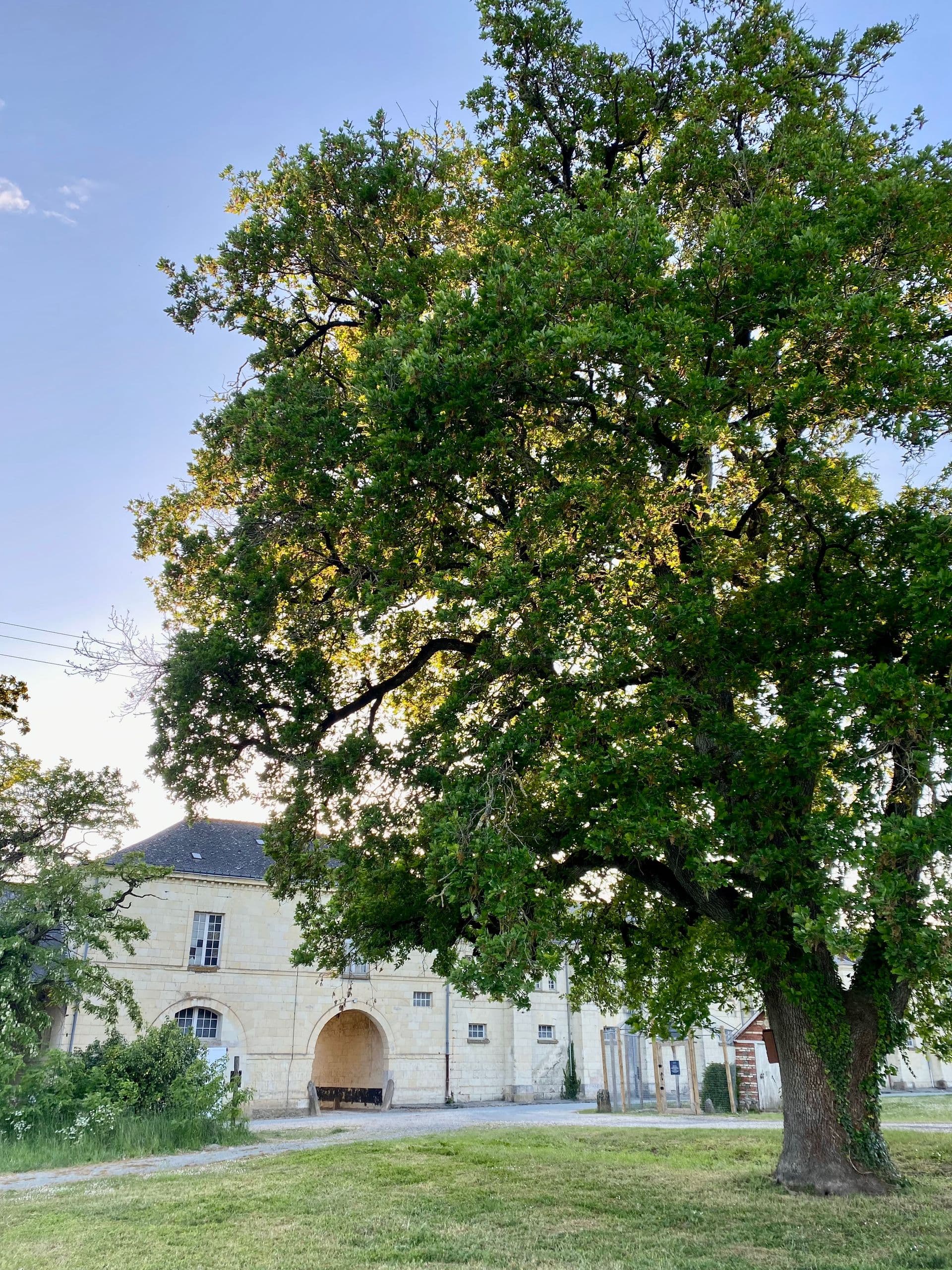 Le Domaine de Roiffé 38