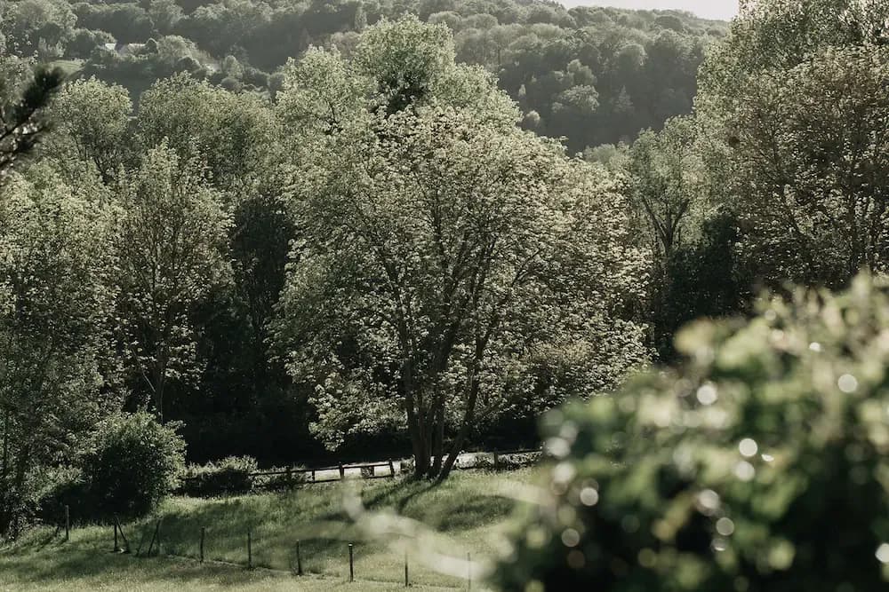 La dîme de Giverny  16