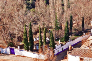 Venta del Celemín 19