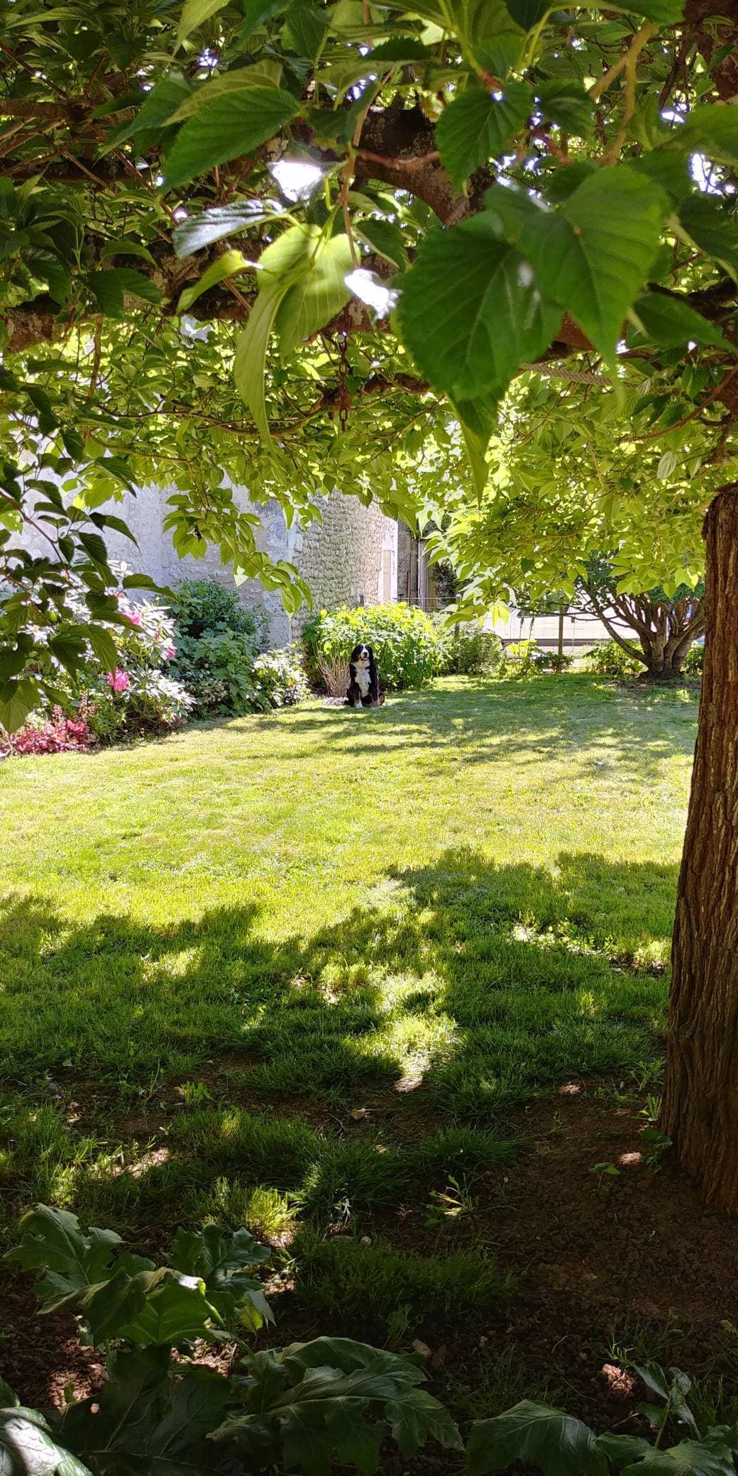 Domaine de Champouteau 17
