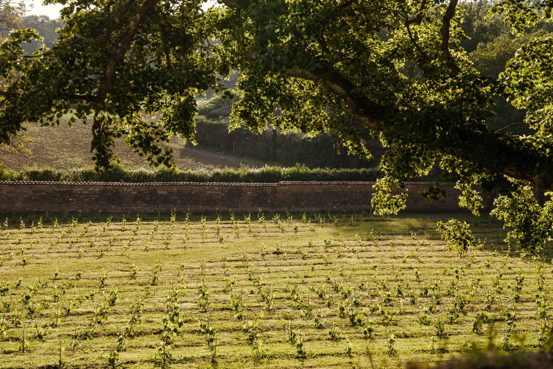 Le Clos des Dames de Lancharre 63