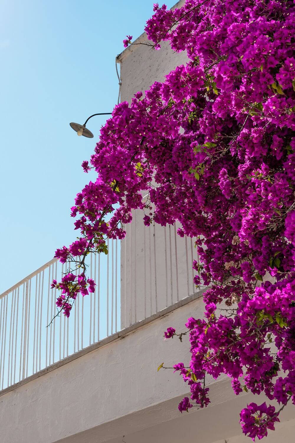 Masseria Mozzone 9
