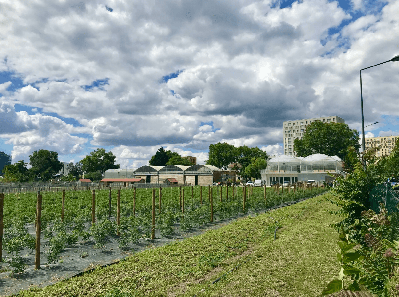 La Ferme de Gally - Saint Denis 2