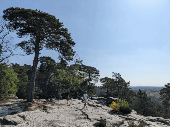 Le Domaine Chapelle 27