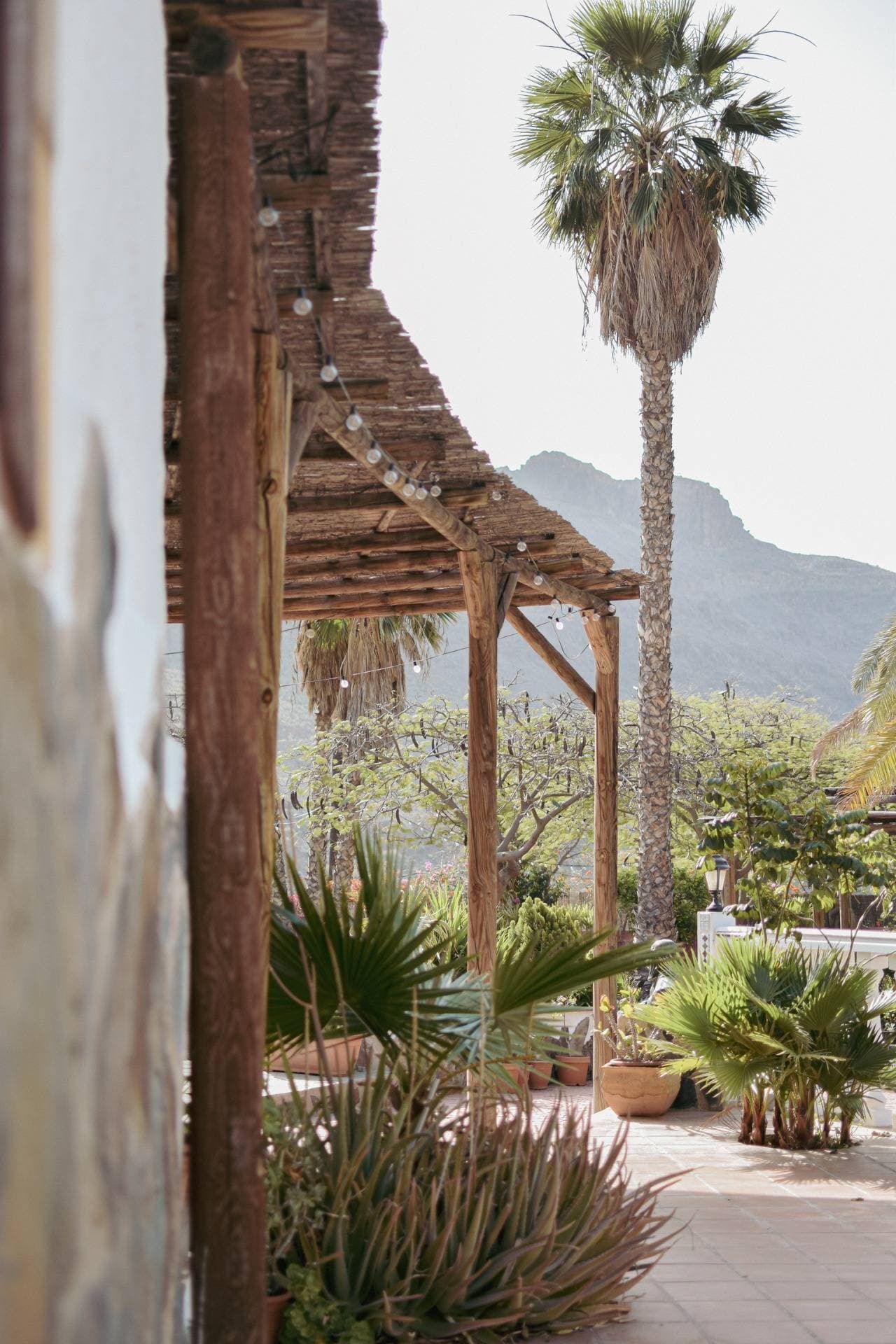 Finca - Los Tanquillos 8