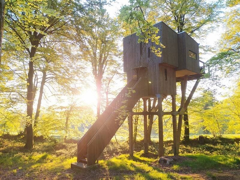 Étape en Forêt 11