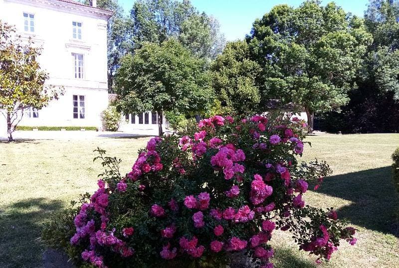Domaine de Pladuc 11