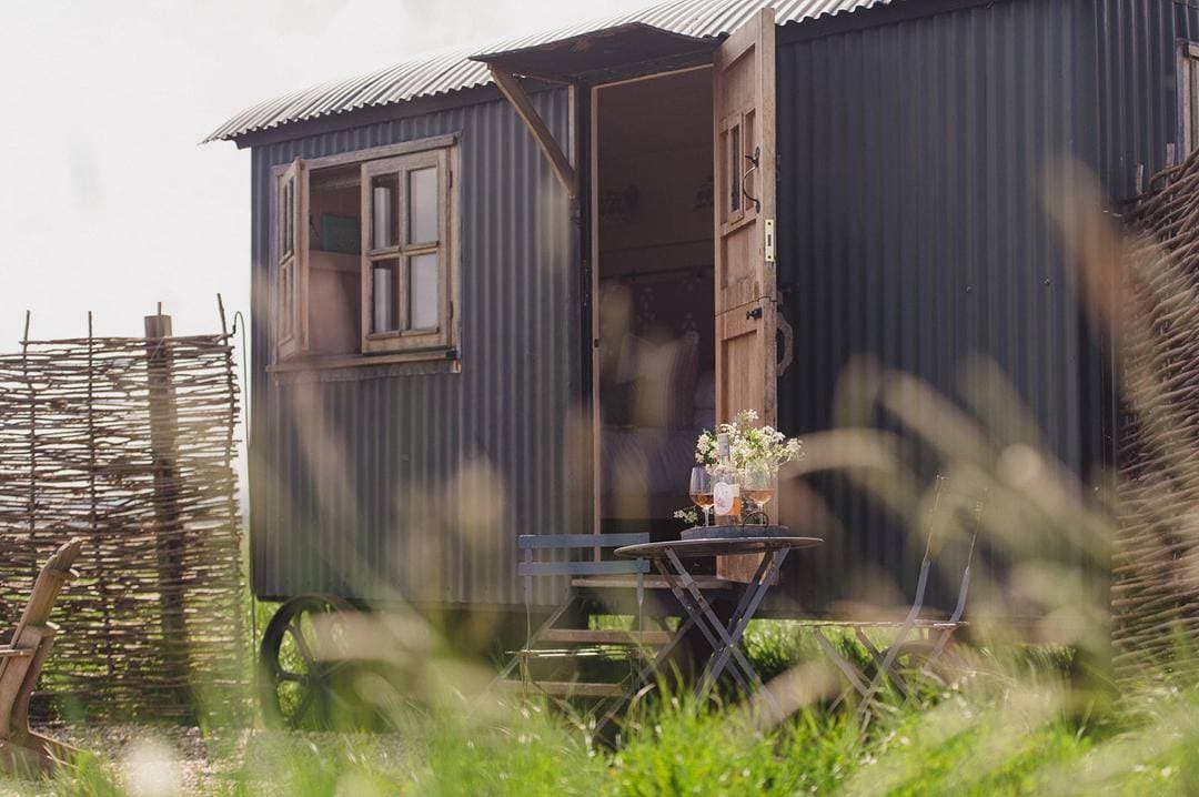 Elmley Nature Reserve 7