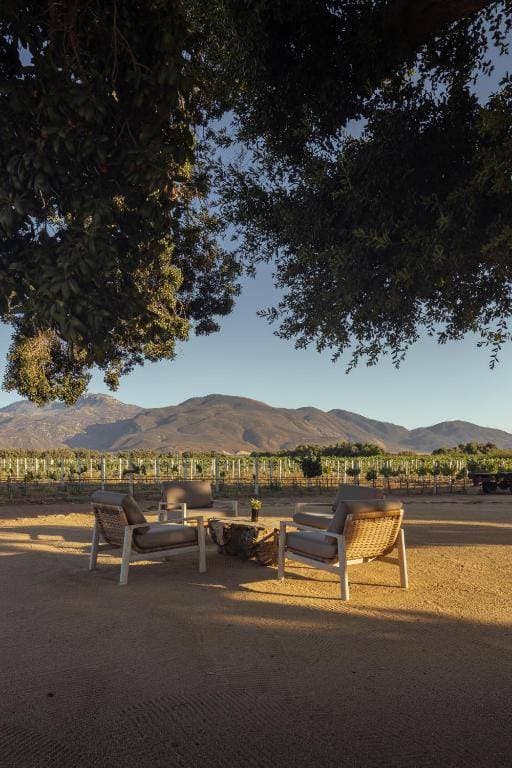 Bruma Wine Resort 5