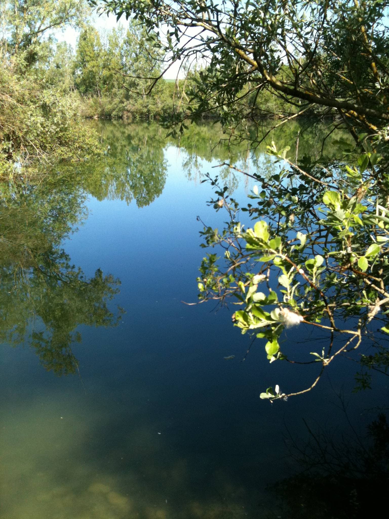 Le Domaine de la Pépinière 6