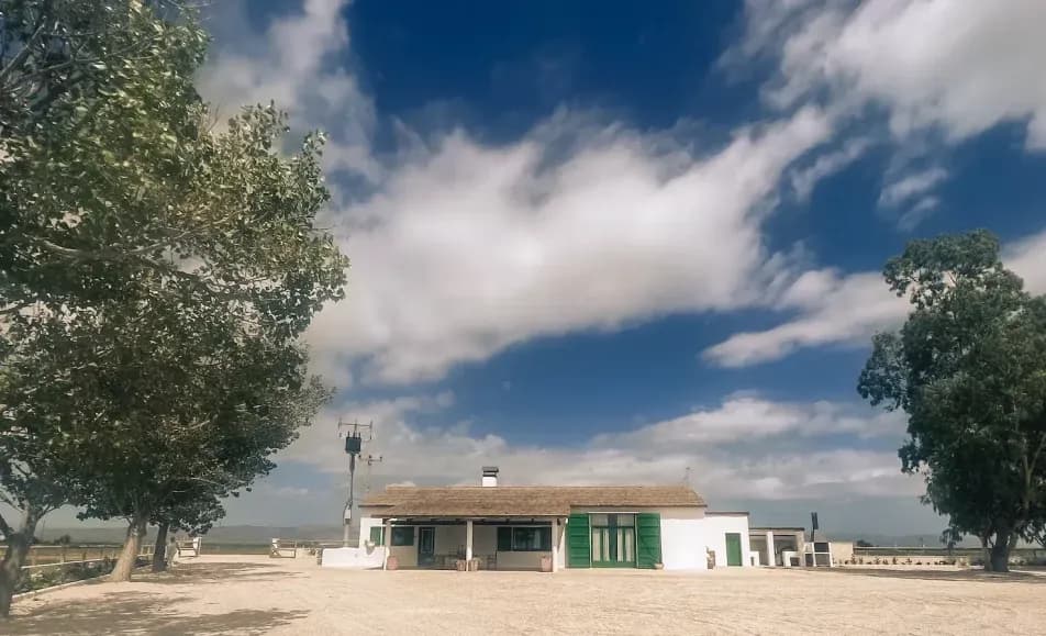 Calafat Incentives 2