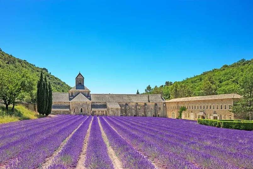 photo de Domaine du Griffon