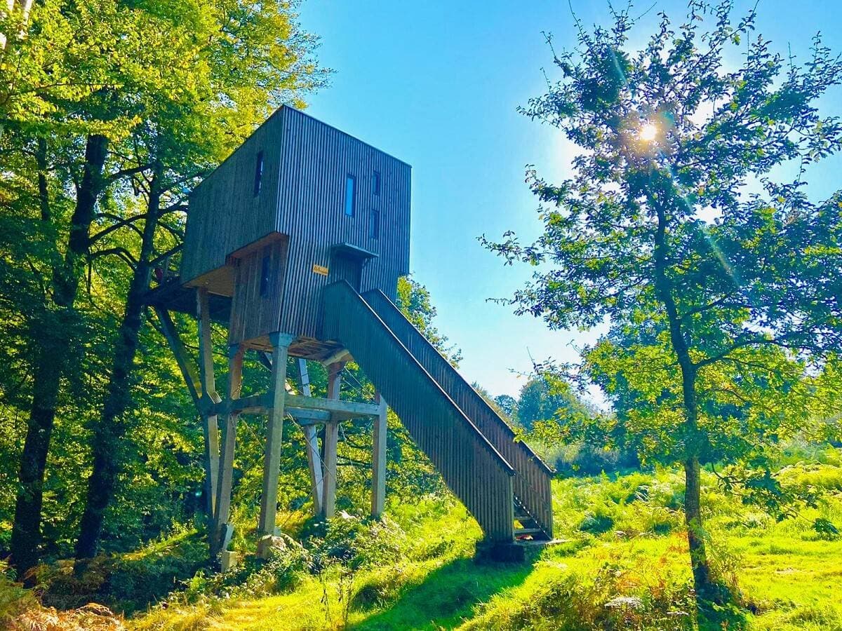 Étape en Forêt 10
