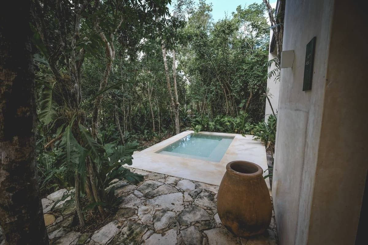 Wakax Hacienda 12