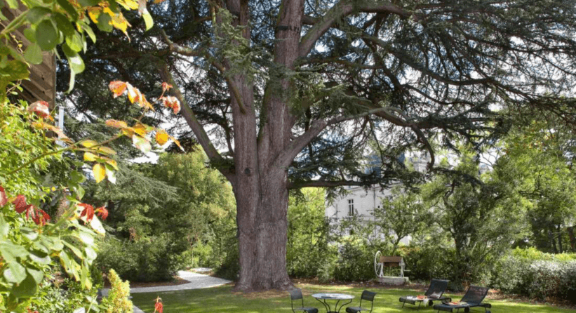 Le Domaine de la Tortinière 21